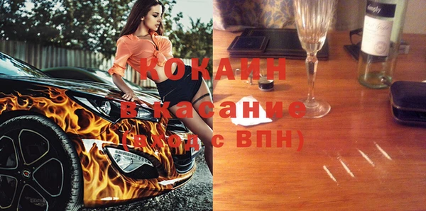 стаф Алексин
