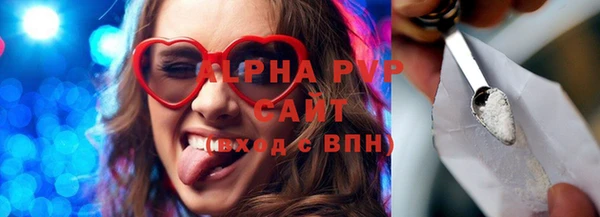 стафф Арсеньев