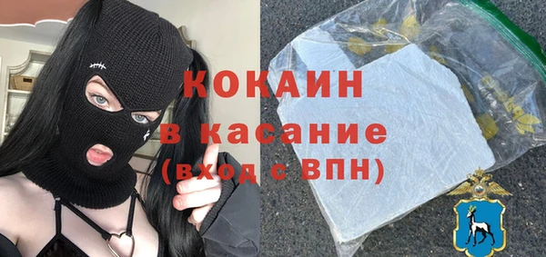 стафф Арсеньев