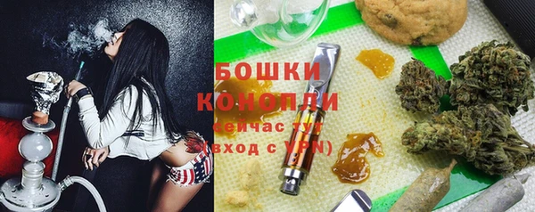 ПСИЛОЦИБИНОВЫЕ ГРИБЫ Аркадак