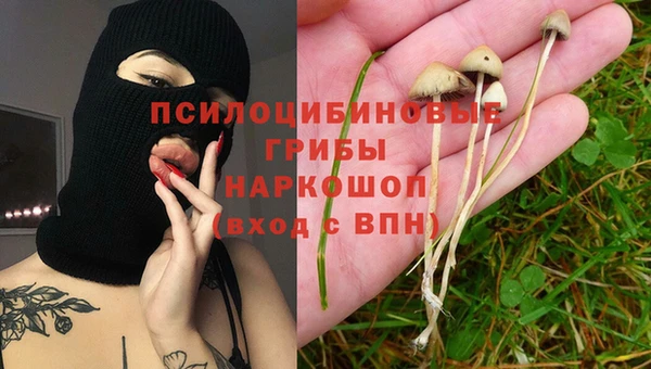 ПСИЛОЦИБИНОВЫЕ ГРИБЫ Аркадак