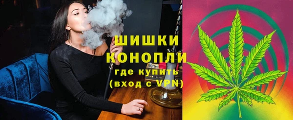 ПСИЛОЦИБИНОВЫЕ ГРИБЫ Аркадак