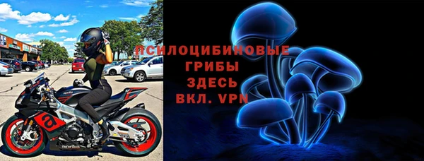 ПСИЛОЦИБИНОВЫЕ ГРИБЫ Аркадак