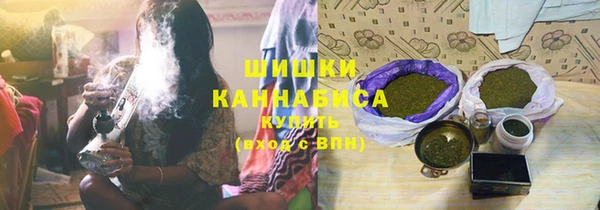 ПСИЛОЦИБИНОВЫЕ ГРИБЫ Аркадак